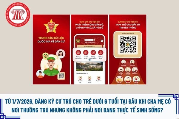 Pháp luật