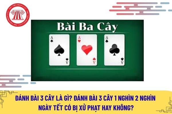 Pháp luật