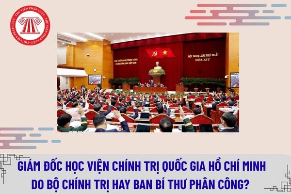 Pháp luật
