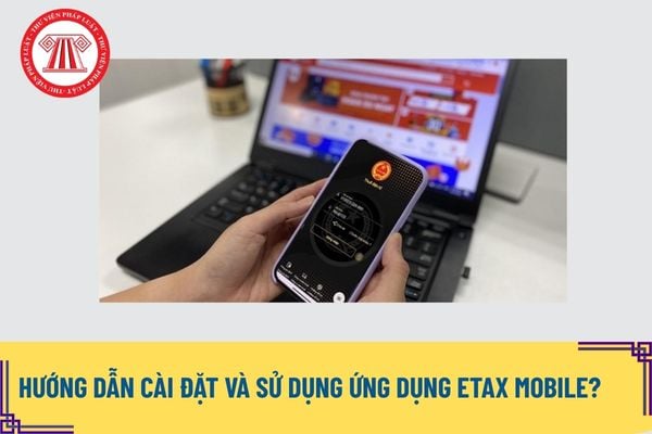 Pháp luật