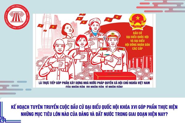 Pháp luật