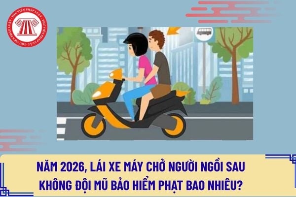 Pháp luật