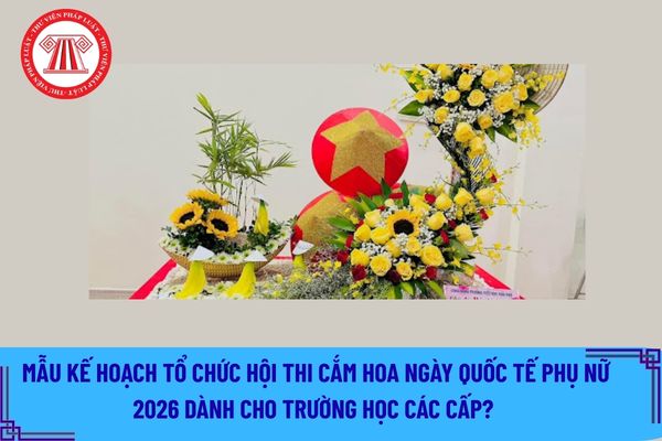 Pháp luật
