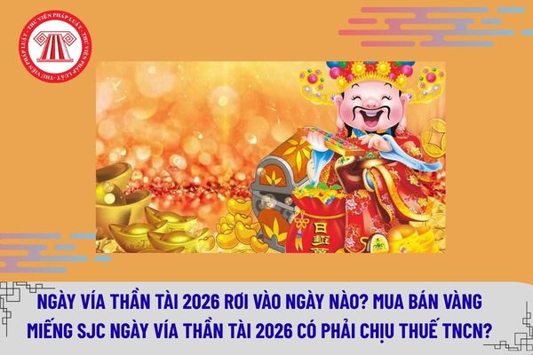 Pháp luật