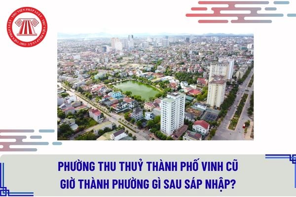 Pháp luật