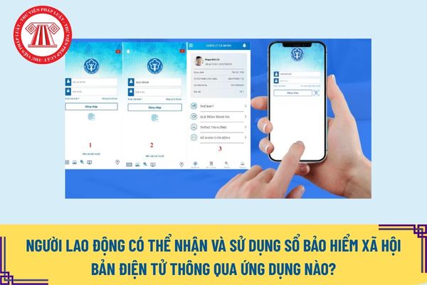 Lao Động Tiền Lương