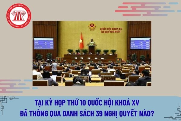 Pháp luật
