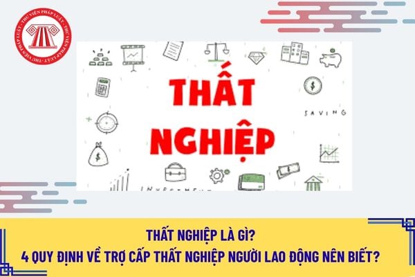 Pháp luật