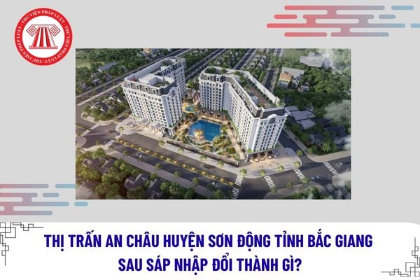 Pháp luật
