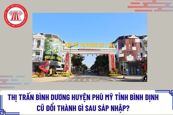 Pháp luật