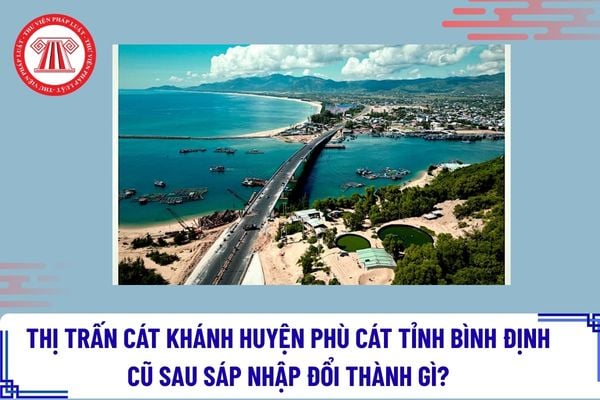Pháp luật