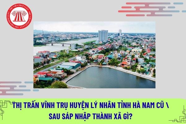 Pháp luật