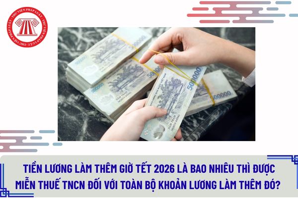 Pháp luật