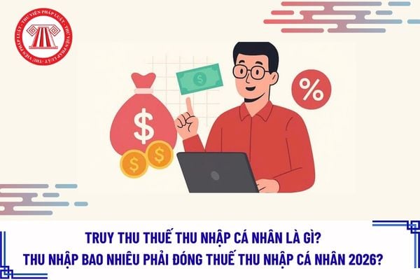 Pháp luật