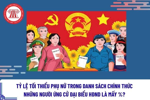 Pháp luật