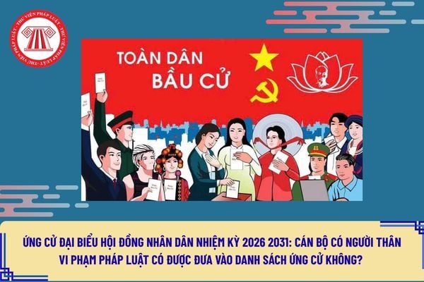 Pháp luật