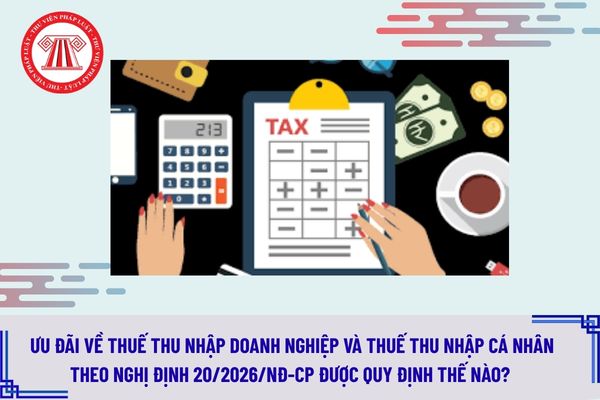 Pháp luật