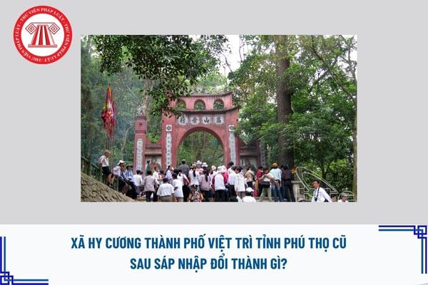 Pháp luật