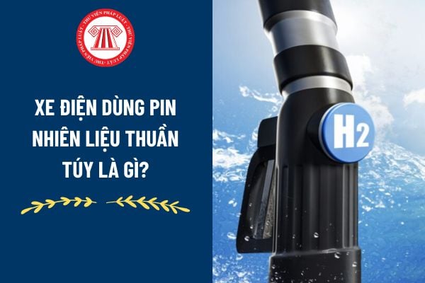 Pháp luật