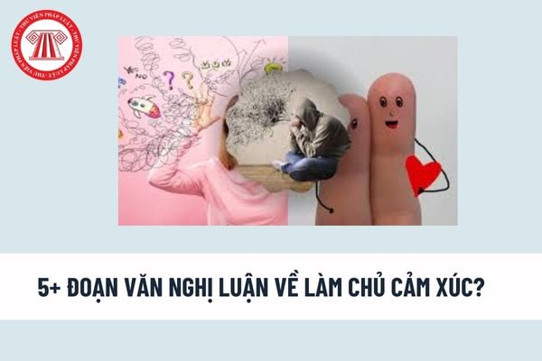 5+ đoạn văn nghị luận về làm chủ cảm xúc? Kỳ thi tuyển sinh vào lớp 10 quy định thời gian làm bài môn văn là bao nhiêu phút?