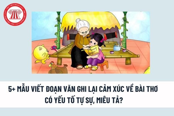 5+ Mẫu viết đoạn văn ghi lại cảm xúc về bài thơ có yếu tố tự sự, miêu tả? Viết đoạn văn ghi lại cảm xúc về bài thơ tự do? 