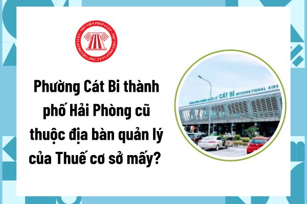 Pháp luật