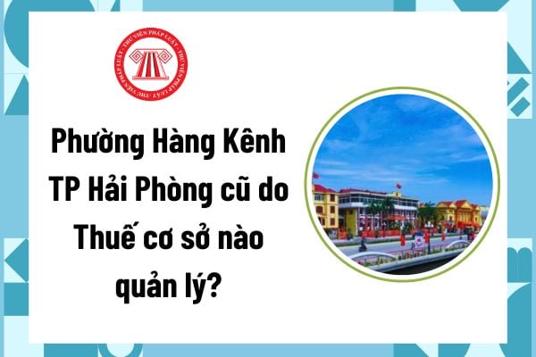 Pháp luật