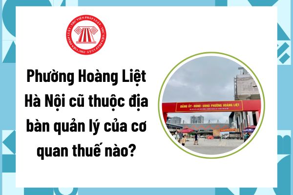 Pháp luật