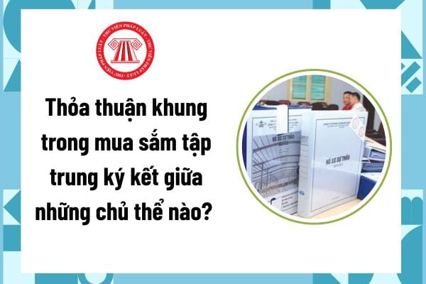 Pháp luật