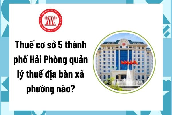 Pháp luật