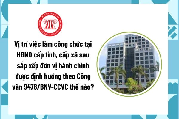 Pháp luật