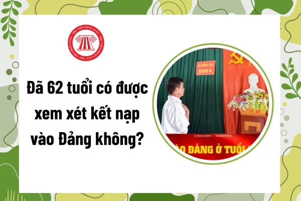 Pháp luật