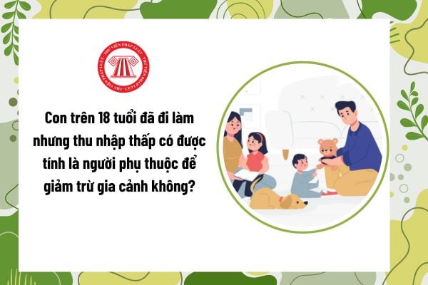 Pháp luật