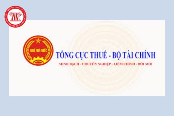 Lãnh đạo Tổng cục Thuế gồm những ai? Tổng cục trưởng Tổng cục Thuế chịu trách nhiệm trước ai? Website Tổng cục Thuế là trang nào?