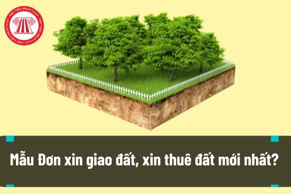 Mẫu Đơn xin giao đất, xin thuê đất mới nhất? Hướng dẫn cách viết đơn xin giao đất, xin thuê đất chính xác nhất? 