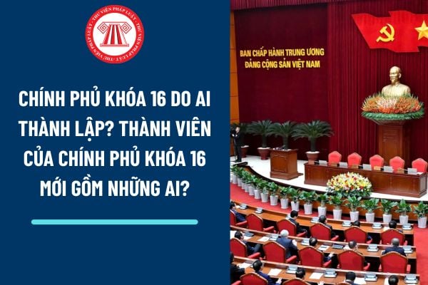 Pháp luật