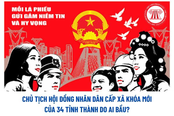 Pháp luật