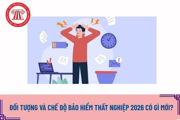 Pháp luật