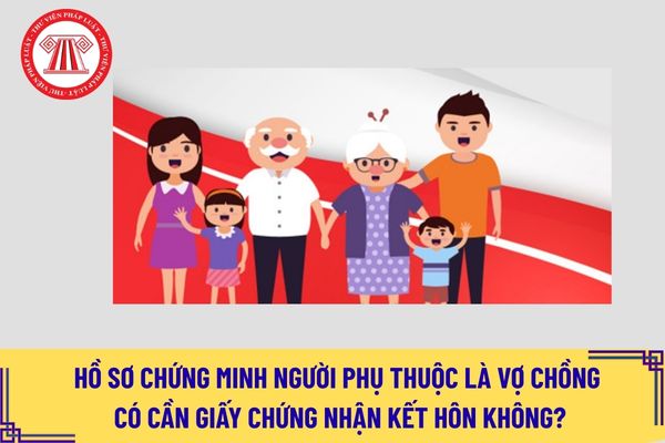 Pháp luật
