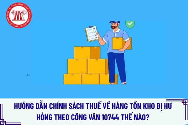 Pháp luật