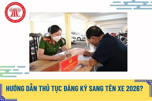 Pháp luật