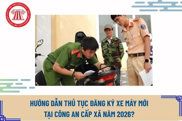 Pháp luật