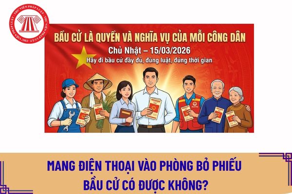 Pháp luật