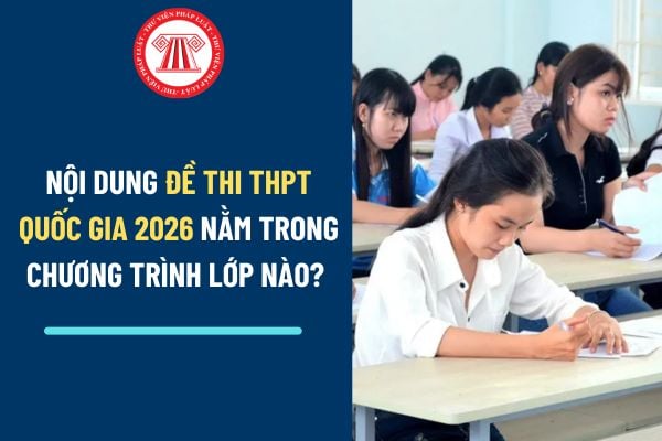 Pháp luật