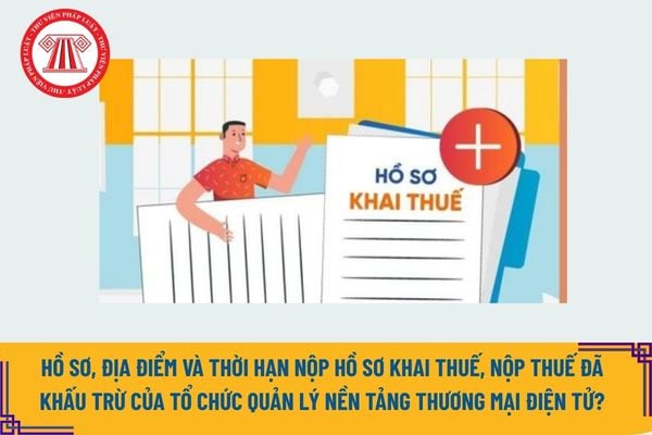 Pháp luật