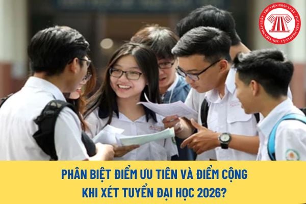 Pháp luật