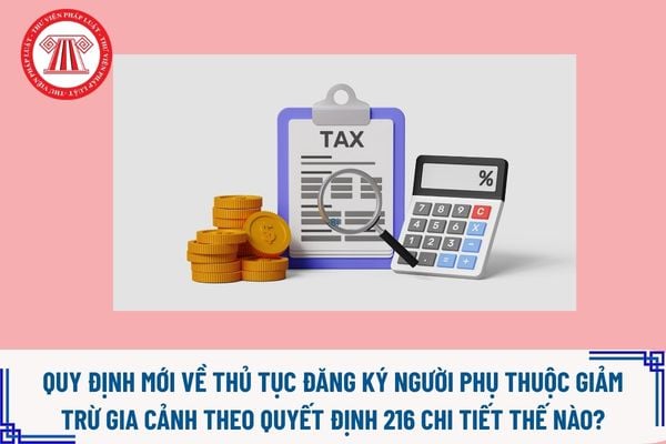 Pháp luật