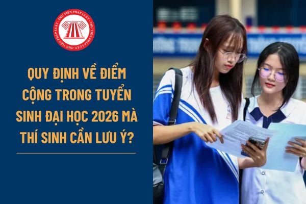 Pháp luật