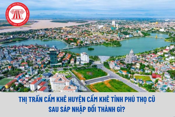 Pháp luật