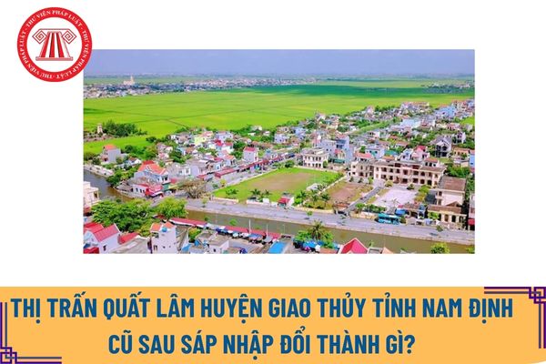 Pháp luật